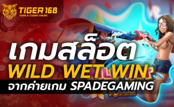 เกมสล็อต Wild Wet Win จากค่ายเกม Spadegaming