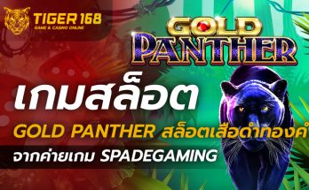 เกมสล็อต Gold Panther สล็อตเสือดำทองคำ จากค่ายเกม Spadegaming
